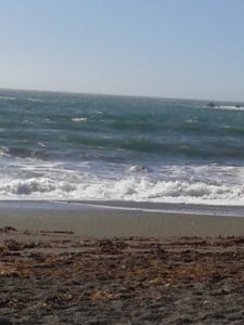 Beach at low tide